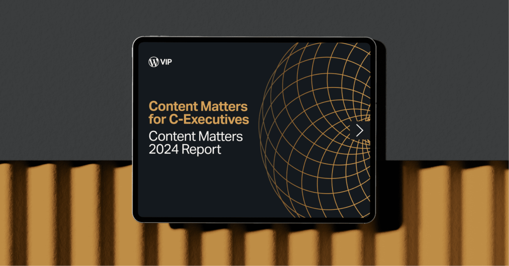 Content Matters for C-Executives Report 2024